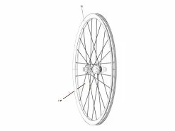 Sram Kit De 3 Rayons Pour Rise 60