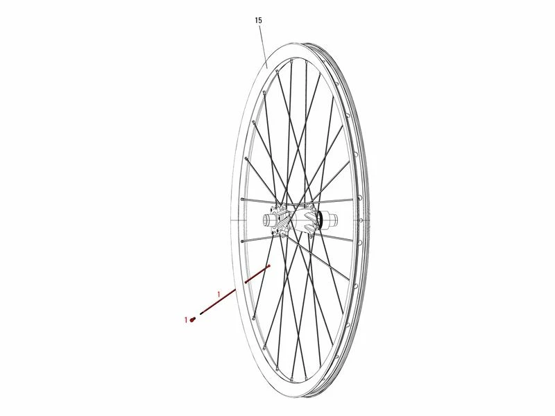 Sram Kit De 3 Rayons Pour Rise 60 3 Sram Kit De 3 Rayons Pour Rise 60